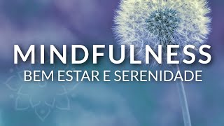 MINDFULNESS MEDITAÇÃO GUIADA 10 MINUTOS DE ATENÇÃO PLENA BEM ESTAR E SERENIDADE [upl. by Retepnhoj614]