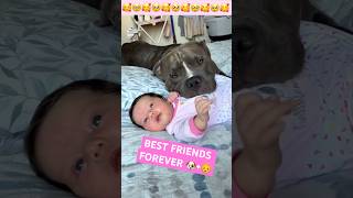 😍Dogs love children ❤️🐶 doglover dog dogs doglovers shortsvideo short fypシ゚viral [upl. by Lammond]