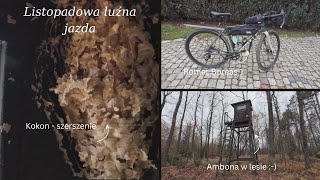 Listopadowa luźna jazda  Romet Boreas 1 i kokon po szerszeniach  Vlog 199 [upl. by Cassey]