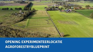 AgroforestryBlueprint deel 13 Opening experimenteerlocatie [upl. by Ysnil]