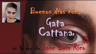 BUENOS DÍAS CON  Gata Cattana [upl. by Eiramanel]