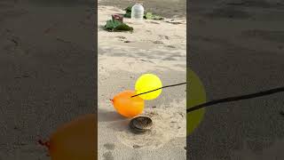 रसेल वाईपर सांप का गुब्बारे पर जोरदार हमला 😱🐍Russell Viper snake attacks balloon fiercely [upl. by Fokos]