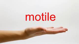 How to Pronounce motile  American English [upl. by Droflim]