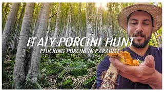 Italy Porcini Hunt Plucking Porcini in Paradise Borgotaro Italy Guide [upl. by Mazonson]