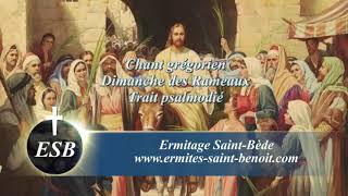 Trait Deus Deus meus du Dimanche des Rameaux version psalmodiée  Ermitage SaintBède  CALJCG [upl. by Etnecniv]