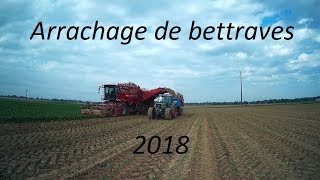 Arrachage de betteraves 2018 [upl. by Anivlac]