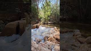 Cederberg Trails vlog travel nature clips [upl. by Sidran]