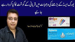 Uric Acid Ka Ilaj  zyloric 300mg tablet uses Urigo Tablet Uses [upl. by Lozano]