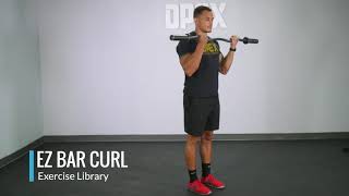 EZ Bar Curl  OPEX Exercise Library [upl. by Htezil]