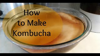 Recette  Comment Faire du Kombucha [upl. by Noivad140]