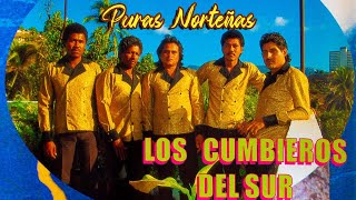 Los Cumbieros Del Sur  20 Exitos Puras Rancheras Album Completo [upl. by Nyberg]