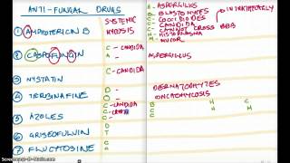 Easy Ways to Remember All The AntiFungals [upl. by Selwin621]