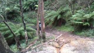 Hill Climb  Tallaganda State Forest [upl. by Richella254]