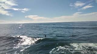 🌊🏄‍♂️Beautiful Surfing Day at Steamer Lane surfers surf surfers santacruz [upl. by Ahsinit]