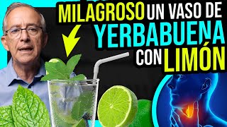 🌿 YERBABUENA Con LIMON 🍋 Que Maravilla  Oswaldo Restrepo RSC [upl. by Otrebor962]