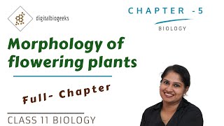 Morphology of Flowering Plants  Class 11 Biology [upl. by Loy]