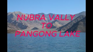 NubraVally to Pangong TSO [upl. by Nosidda517]