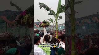 Chhathi Maiya Pooja 2024  Barnala City v5dancestudio chhathimaiya barnala [upl. by Odnanref]