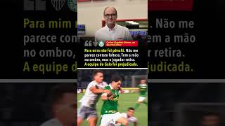 Pênalti bem marcado em Palmeiras x AtléticoMG Simon analisou shorts [upl. by Rab806]