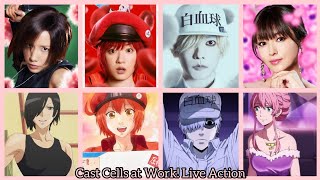 Cast Cells at Work 2024 Live Action Film はたらく細胞 [upl. by Ingamar]