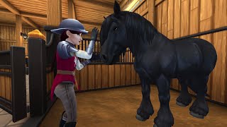 Buying the new ardennes horse🐴🖤SSO [upl. by Stewardson579]