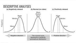 Descriptive Analyses  Theory [upl. by Liddle]