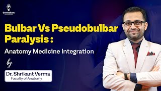 Bulbar Vs Pseudobulbar Paralysis  Anatomy Medicine Integration  Cerebellum Academy [upl. by Nirret]