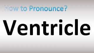 How to Pronounce Ventricle [upl. by Chyou916]