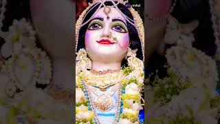 Radha shastra naam yatra jai shree krishna vrindavan dham radhe radhe 🙏🙏 [upl. by Croner]