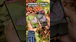 Samsung S24 Ultra vs Vivo V40 Pro Camera Test 10x Zooming s24ultra vivov40pro trending shotrs [upl. by Bolanger]