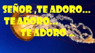 juan carlos alvarado magnifico dios letra [upl. by Ecirum561]