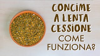 Concimi a lenta cessione a cosa servono e come funzionano [upl. by Vinny104]