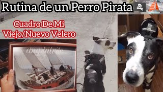 Ep12 Rutina de un Perro Marino que vive a Bordo de un Antiguo Velero⛵🐼❤️ [upl. by Oicelem]