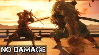 The Owl No Damage No Lock Speedrun Boss Fight  Sekiro Shadows Die Twice [upl. by Berwick519]