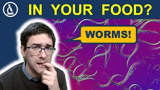 Dont be afraid of Wiggly Worms the VINEGAR EELS 🔬 233 [upl. by Nnodnarb]