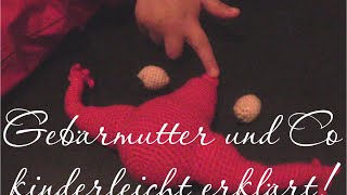 Gebärmutter und Co  kinderleicht erklärt [upl. by Naryt791]