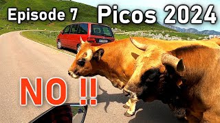 Picos de Europa 2024 Episode 7 Poncebos Sotres Tresviso [upl. by Ashraf]