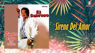 Sirena Del Amor  Lisandro Meza  Audio Oficial [upl. by Ymrej]