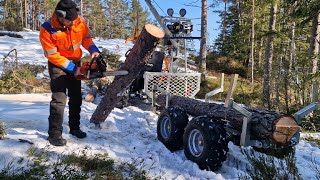 ATV Timber Trailer  Can Am Outlander 450 Xu 6x6 [upl. by Ocsicnarf]