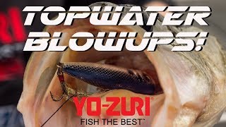 Epic Topwater Blowups YoZuri Lures 2018 [upl. by Wolram]