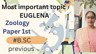 Topic EUGLENAcomplete notes✅BSC PREVIOUS ZOOLOGY PAPER 1st REPRODUCTION CLASSIFICATION [upl. by Topper218]