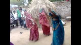 RAJASTHANI DJ DANCE TEJO BABO AAVE LO [upl. by Featherstone631]