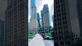 CHICAGO DOWNTOWN USA 🇺🇸 windycity chicagoland illinois usashorts usatravel chicago [upl. by Sharleen]