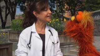 Sesame Street Word on the Street  Veterinarian [upl. by Eenar]