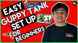 Guppy tank setup for beginners [upl. by Wivestad]