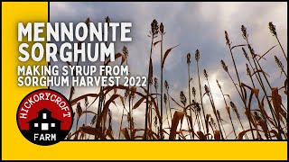 Mennonite Sorghum  How to Make Sorghum Syrup from our 2022 Sorghum Harvest [upl. by Herrah798]