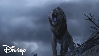 El Rey León 2019  Simba Confronta a Scar Español Latino [upl. by Flem453]