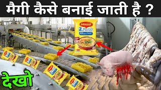 देखिए फैक्ट्री में Maggi कैसे बनती है   Maggi Making Process  Maggi Kaise Banti Hai [upl. by Oirasec]