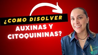 ¿Como disolver auxinas y citoquininas para formular un fertilizante [upl. by Mord]