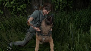 The Last of Us 2 Remastered Aggressive amp Stealth Gameplay  HILLCREST GROUNDED 4K [upl. by Brunelle]